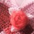 Profile picture of outami